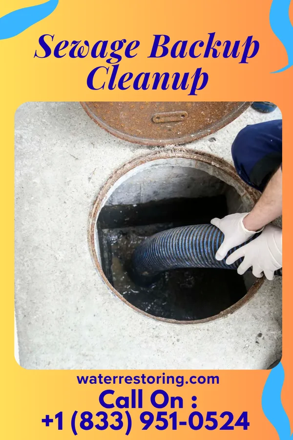 Sewage Backup Cleanup in Brooklyn Heights, OH