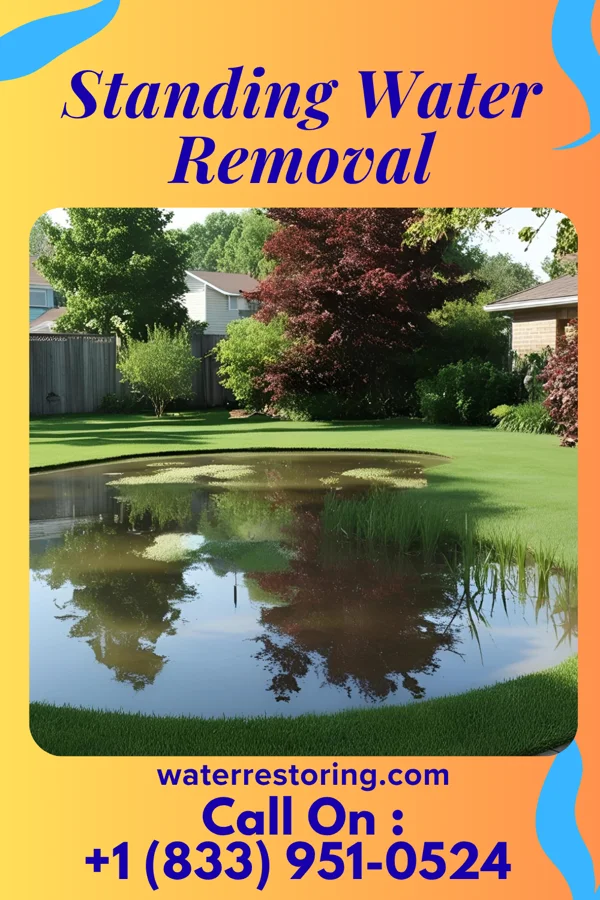 Standing Water Removal in Brooklyn Heights, OH